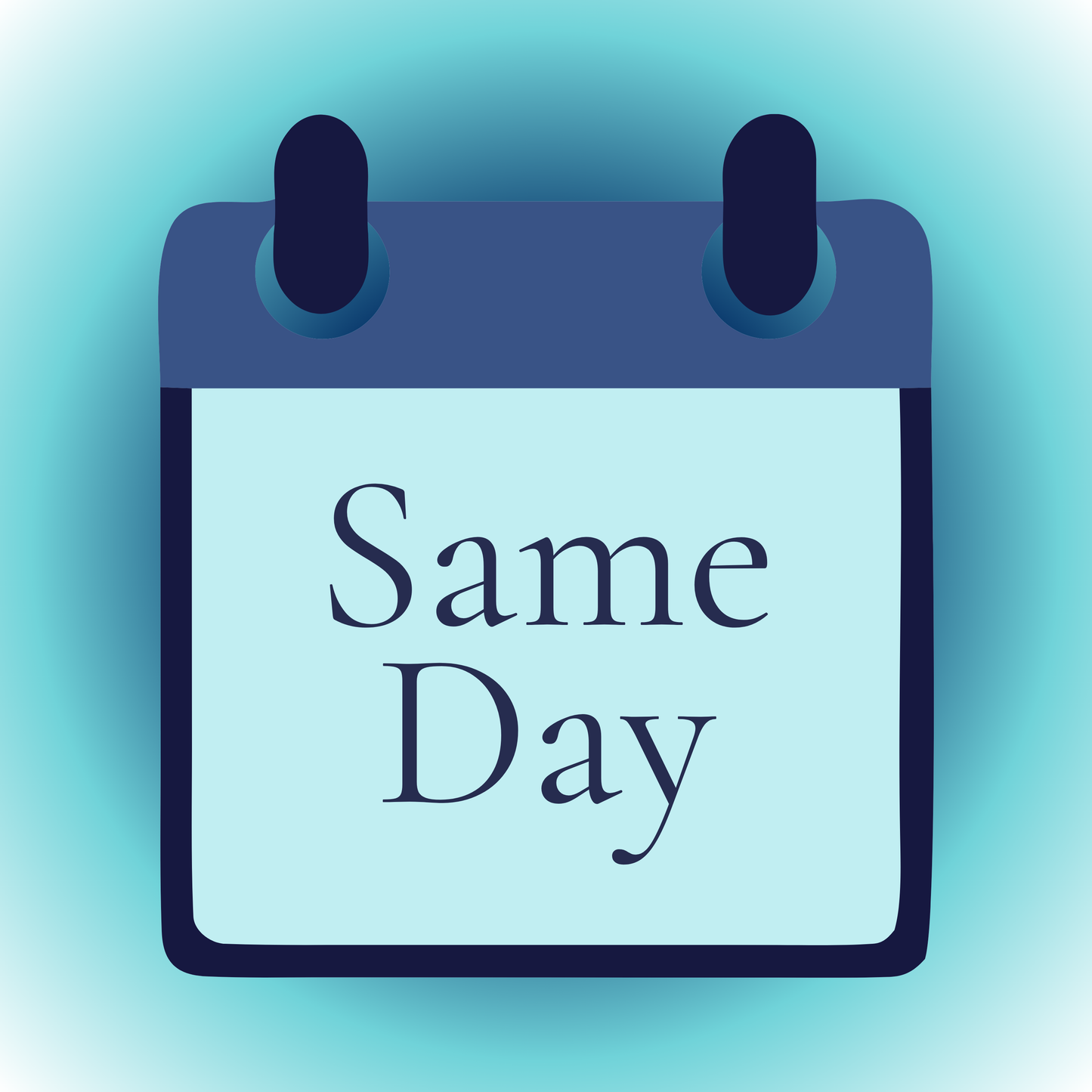 Same Day Rush Pickup Service